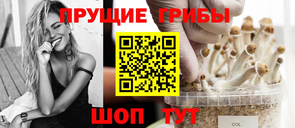 Ангарск  Псилоцибиновые грибы Magic Shrooms  Вход с VPN 